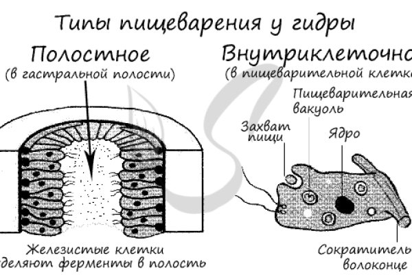 Кракен официальная ссылка kraken torion