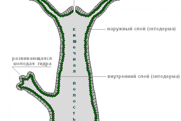 Магазин кракен как попасть