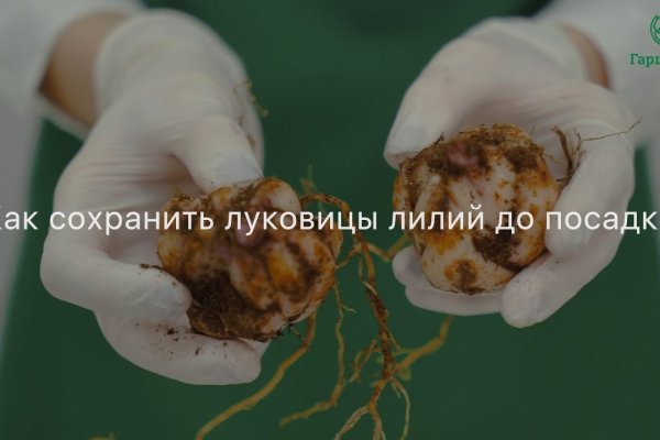 Забыл пароль от кракен