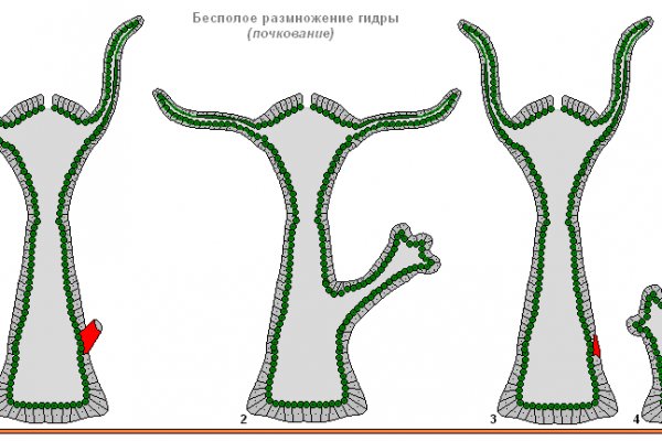 Ссылка на kraken торговая площадка