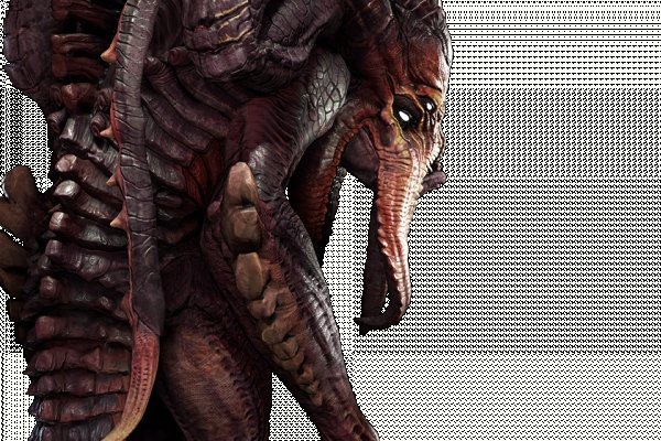 Kraken 6 at