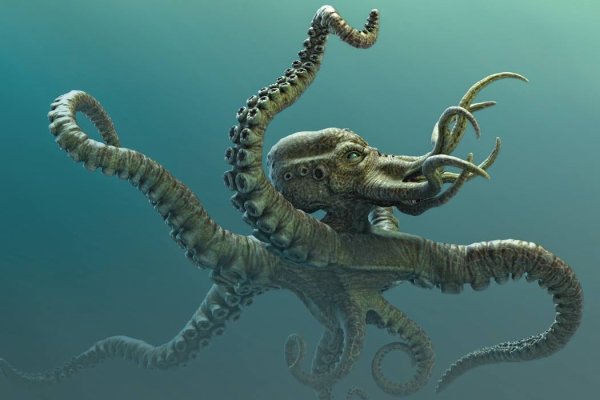 Kraken19at