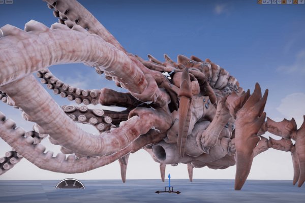 Kraken whitenet store