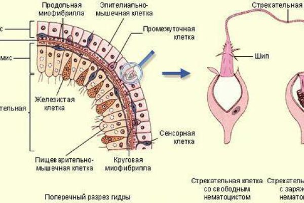Кракен это счастье