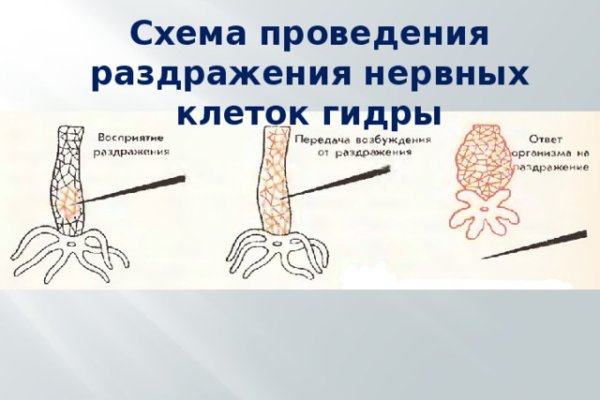 Кракен онион ссылки
