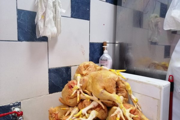 Кракен сыл ссылка