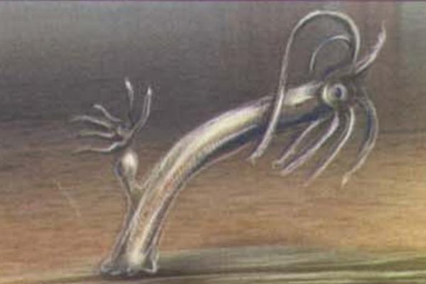 Kra43.cc