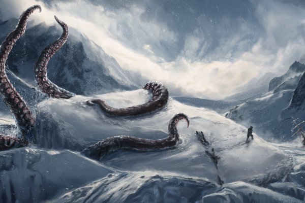 Kraken маркет whitenet только через tor
