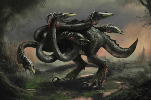 Как найти kraken