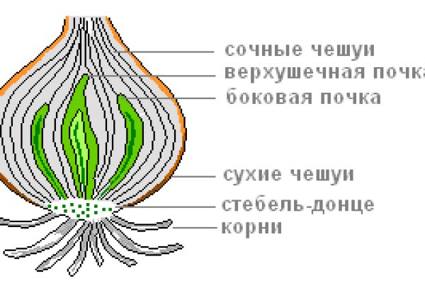 Ссылка на кракен тор