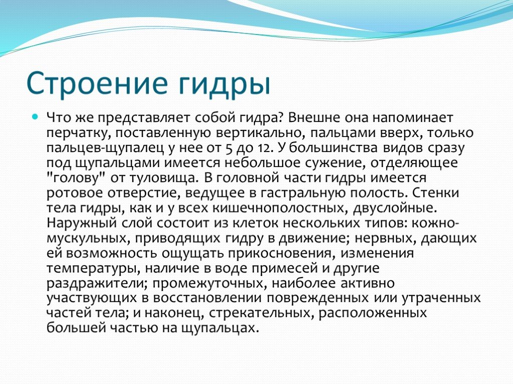 Сайт krn